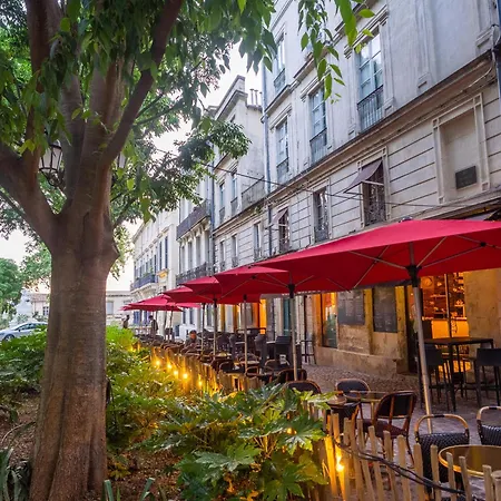 Daire Le Platane De La Canourgue Montpellier
