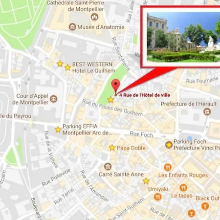 Le Platane De La Canourgue